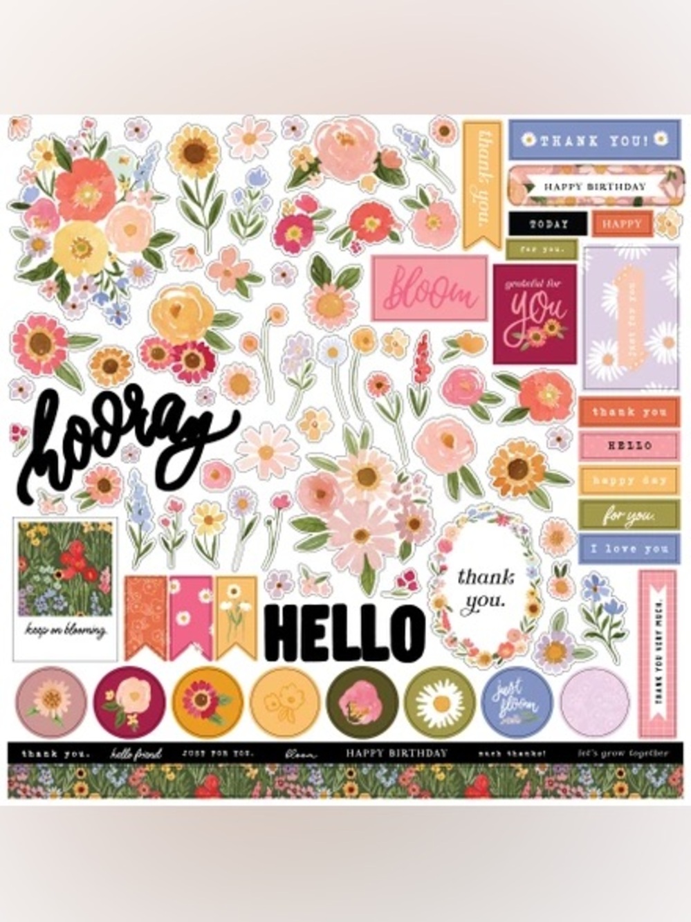 💐Echo Park Flora No. 6 Floral Element Sticker Sheet 12x12” 🌸